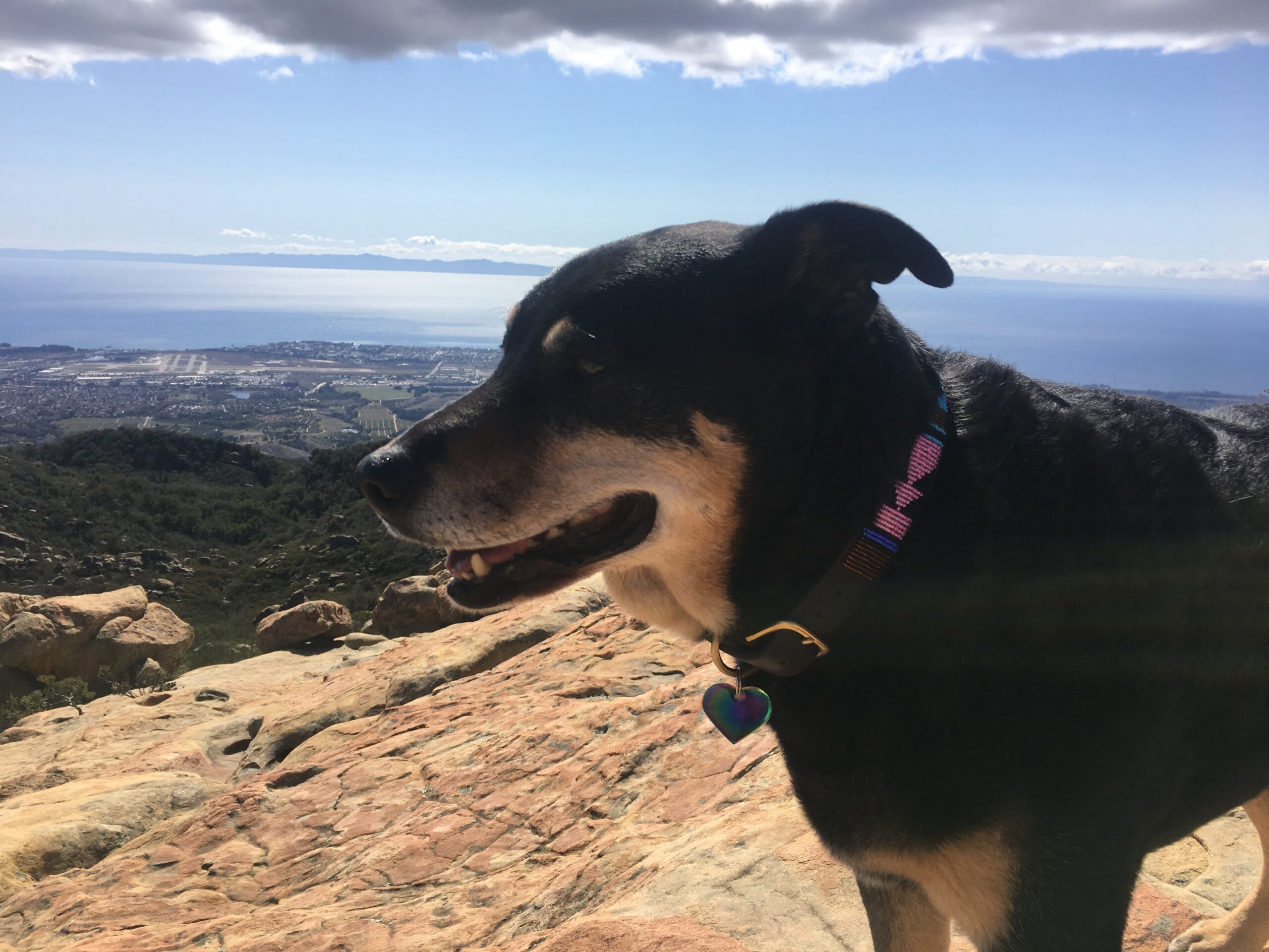 mountains lizards mouth sunset hiking local