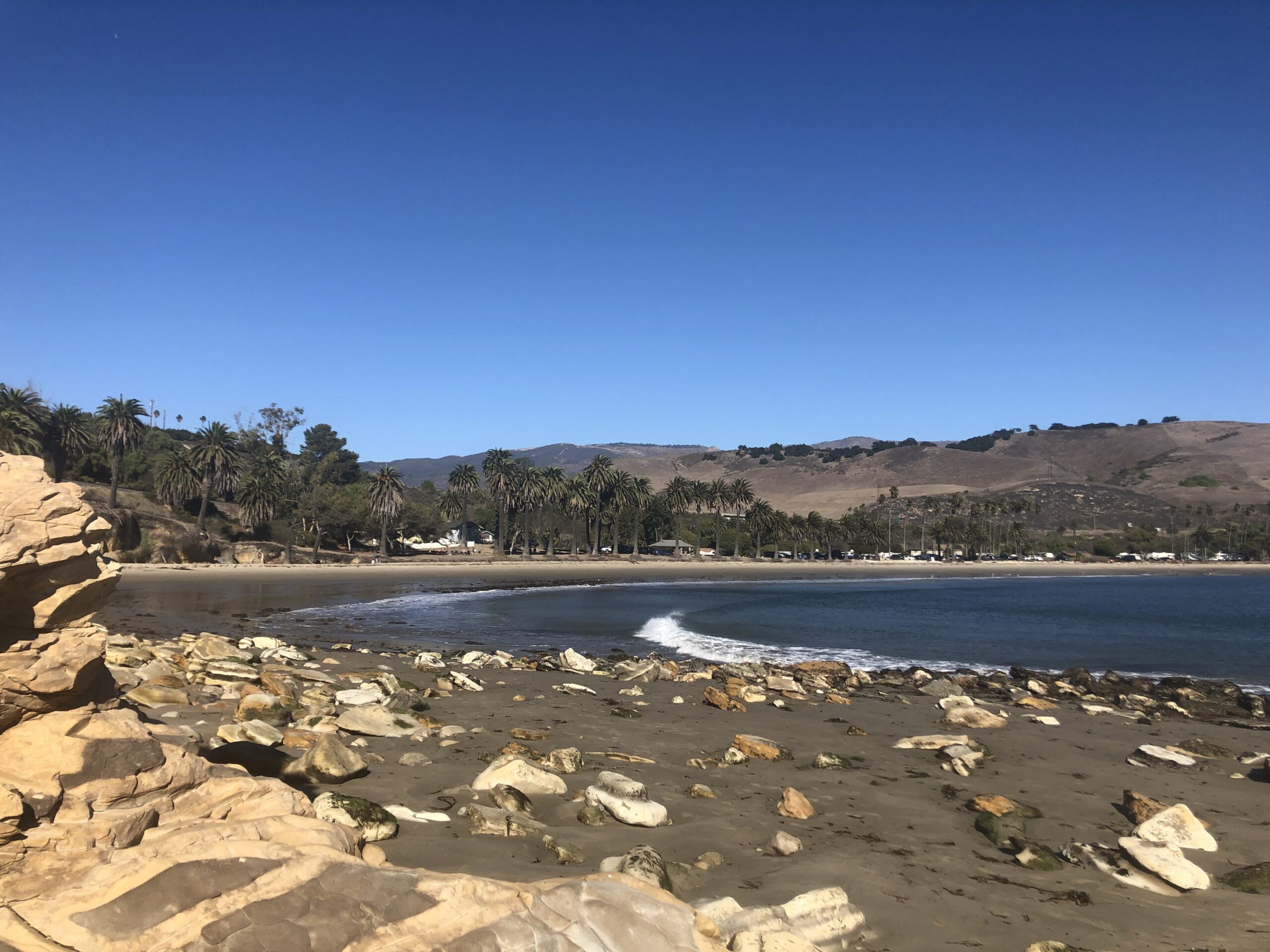 refugio state beach camping surf palm trees sandy beach