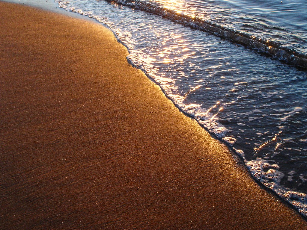 santa barbara ocean beach sand wide palm trees