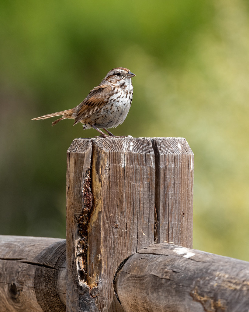 Cabrillo bike path Santa Barbara ocean cycling beach